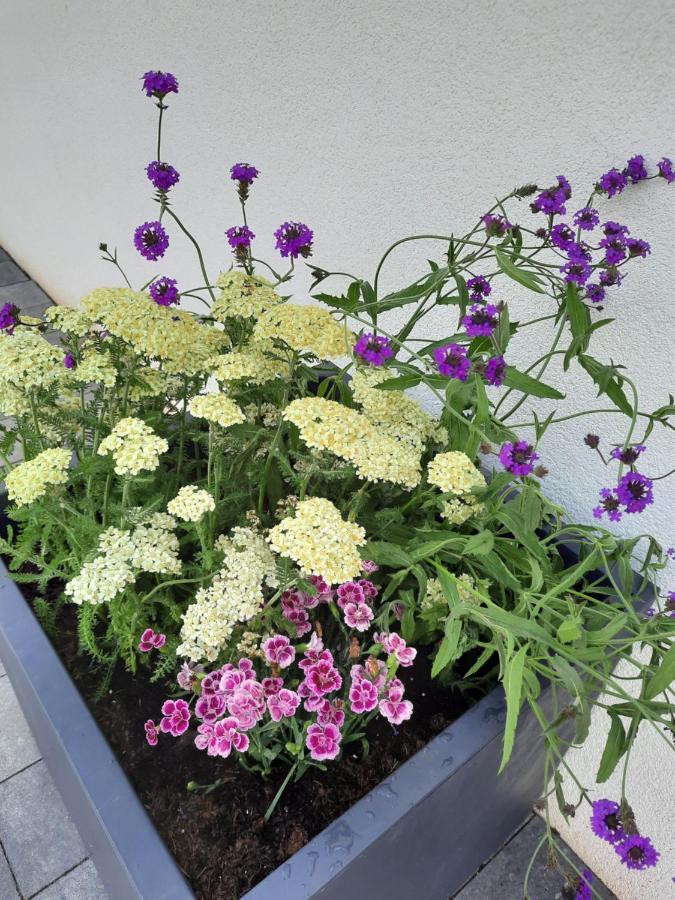 Apartments Bei Playmobil Eg,130M2,Grosse Terassen,24H Self Check-In, Free Parking Zirndorf Esterno foto